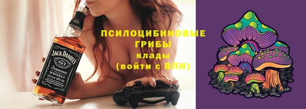 шишки Арсеньев