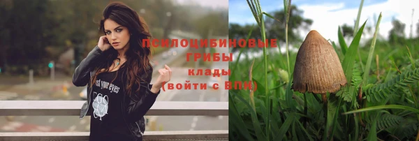шишки Арсеньев