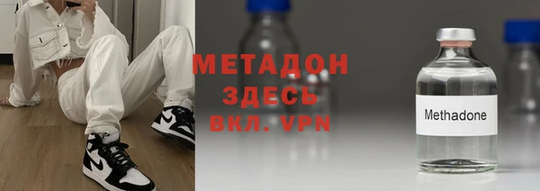 шишки Арсеньев