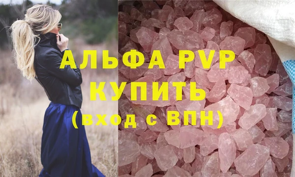 шишки Арсеньев
