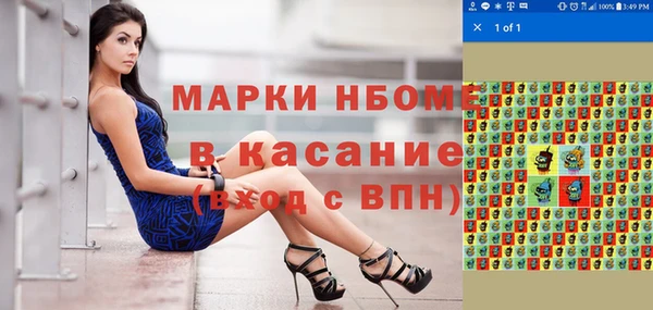 шишки Арсеньев