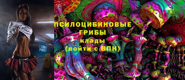 винт Аркадак